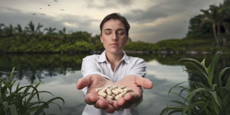 Herbal Brain Boosters for Focus, Memory & Mental Clarity