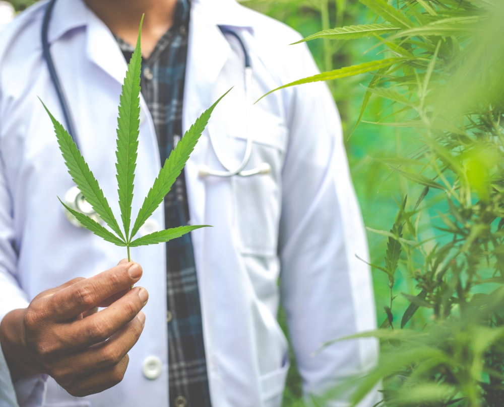 The Cannabis Entourage Effect: Full Spectrum vs. Isolates