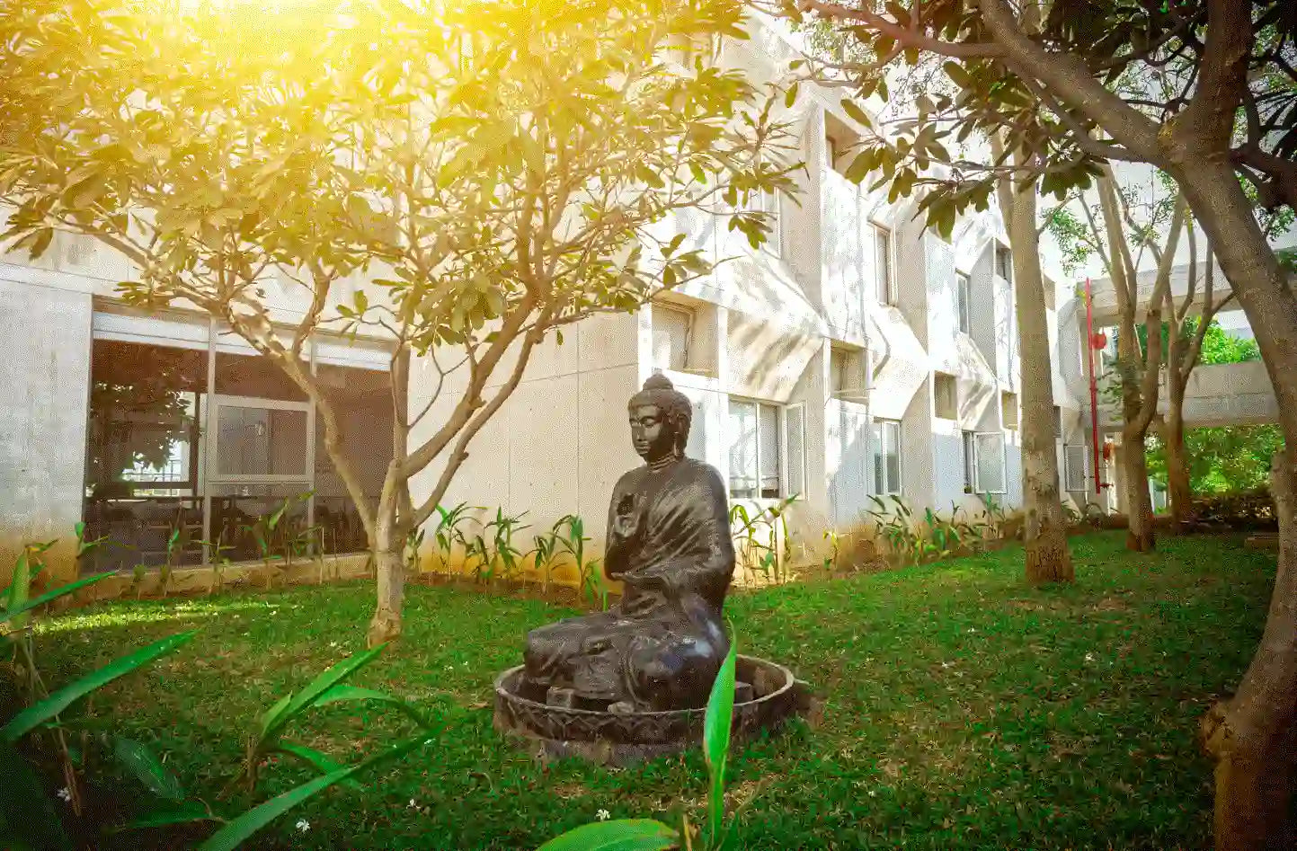 Sleep Support Supplements: How to Recharge and Dominate Every Day