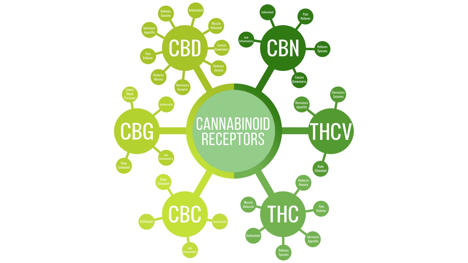 The Power of Rare Cannabinoids: CBC, CBG, and CBN
