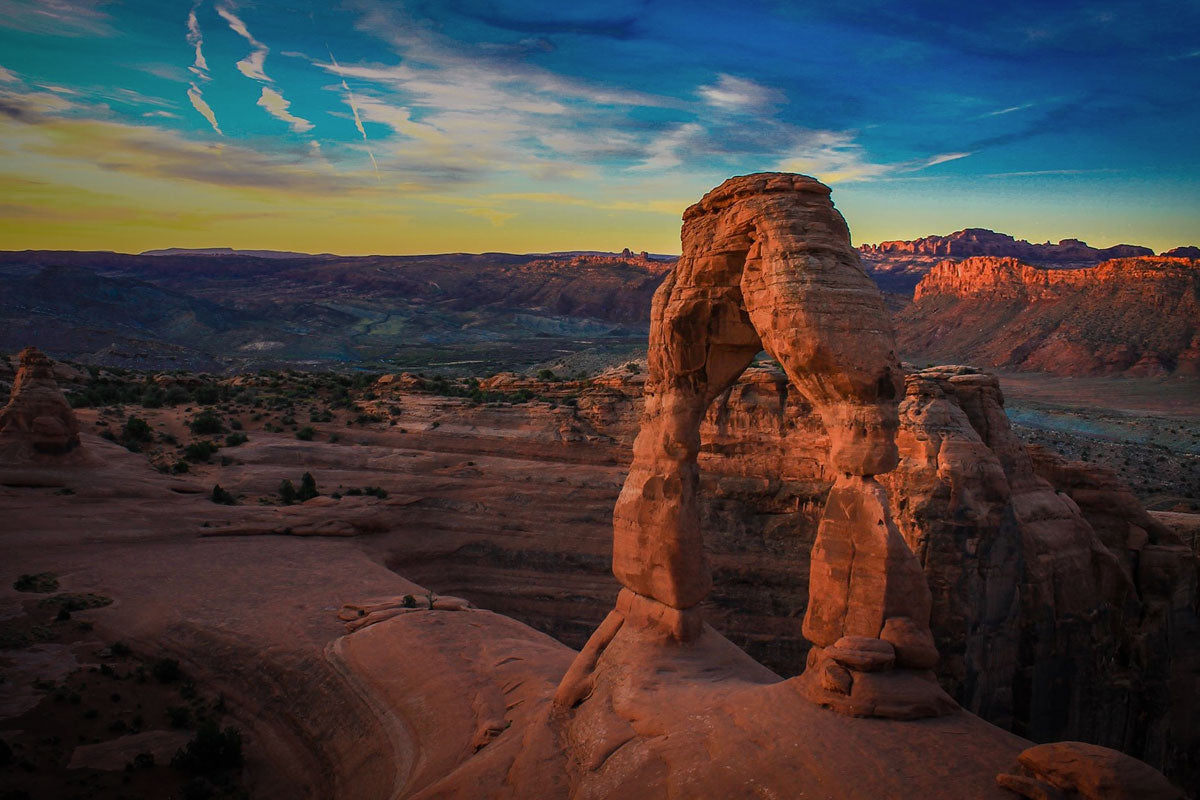 The Power of Adaptogenic Supplements and Functional Mushrooms for Resilience