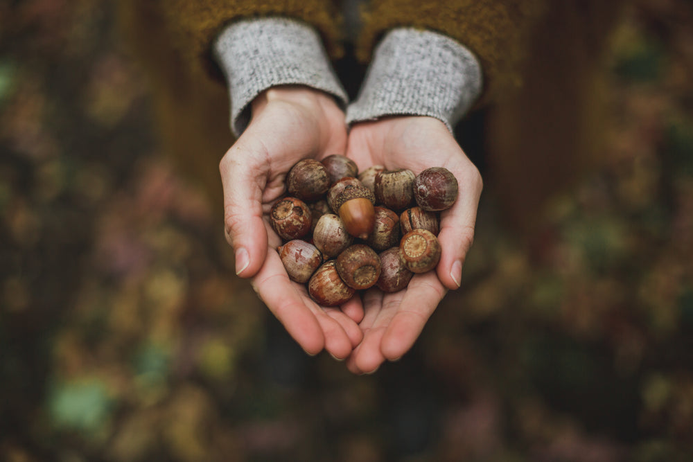 Plant-Based Power: Natural Ways to Boost Dopamine and Elevate Mood